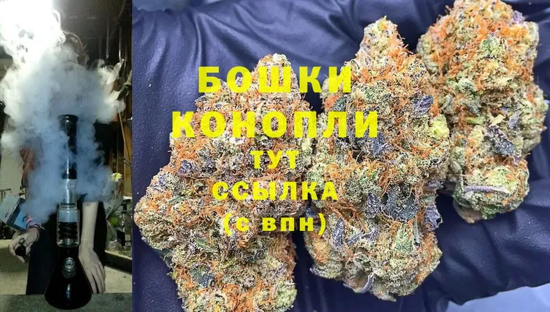 где продают наркотики  Кизляр  Шишки марихуана Amnesia 